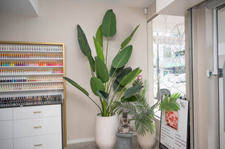 Plant and nail colour display near the salon entrance